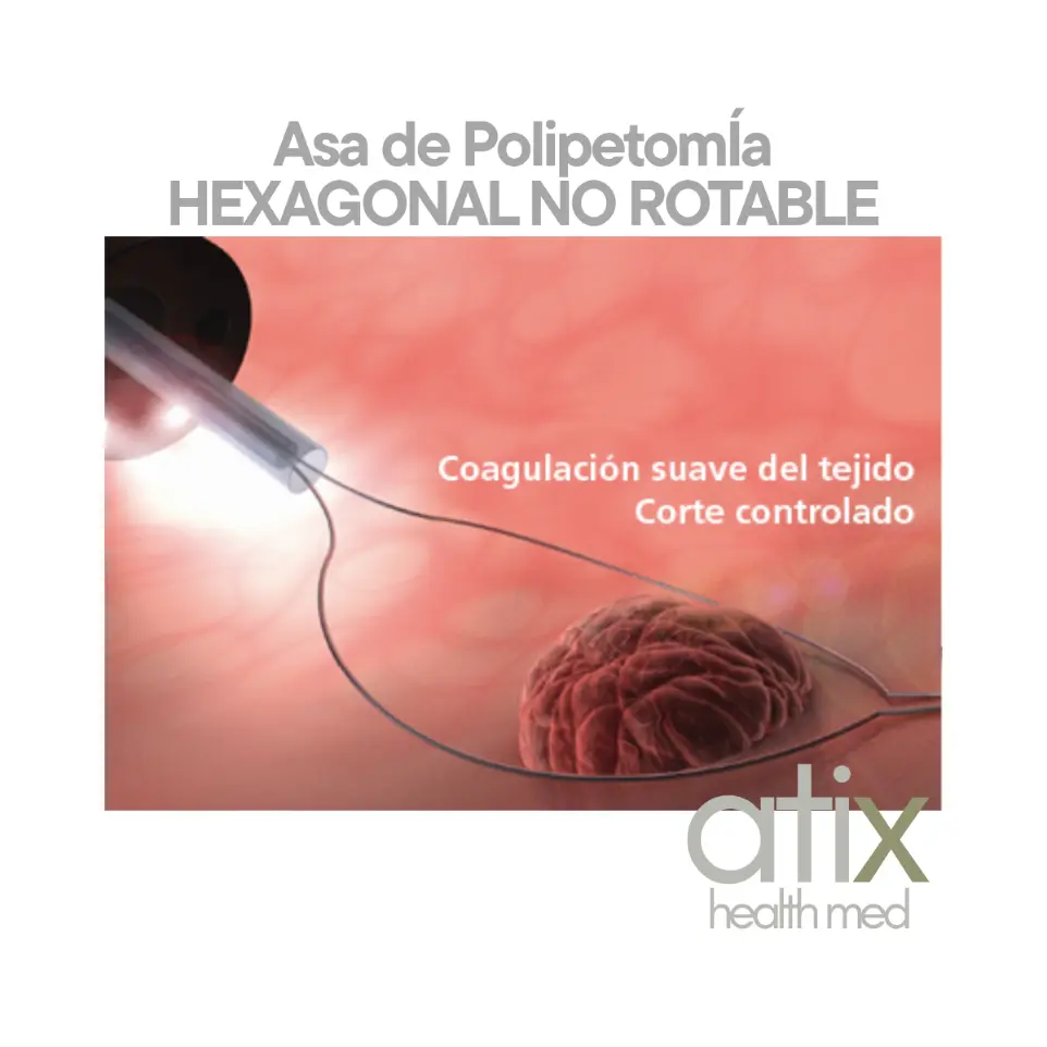 Asa Hexagonal NO Rotable Desechable Alton Medical para Polipectomía con alta frecuencia "Alton Asa Hexagonal de polipectomía NO Rotable para alta frecuencia con lazo trenzado, instrumento endoscópico para resección precisa y coagulación simultánea de pólipos"
