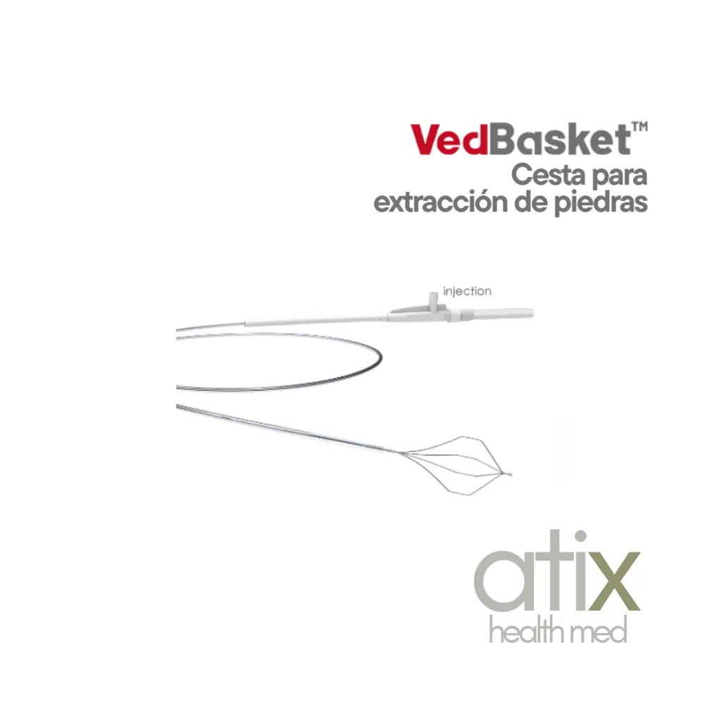 Encabezado (11).webp