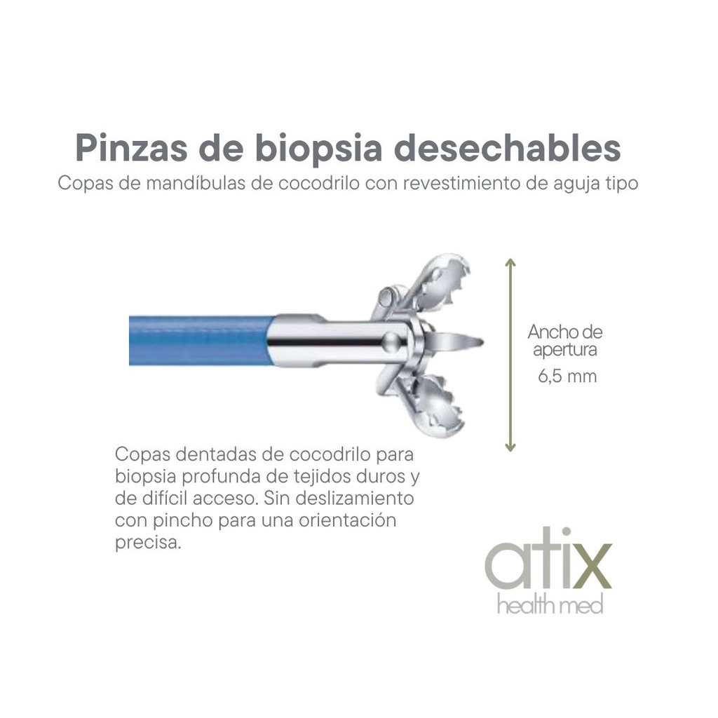 Alton Pinza de Biopsia Tipo Copa Ovalada con Dientes y Cuchilla
