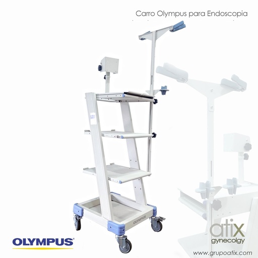 [AC-TC-C1] Olympus Cart